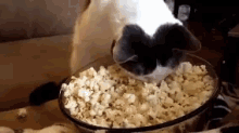 Yummy Popcorn GIF