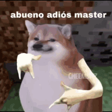 cheems adios spanish cheems cheems meme doggo
