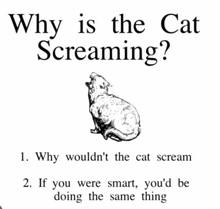 a black and white drawing of a cat with the words " why is the cat screaming " below it