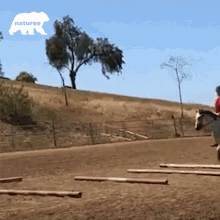 Horseback Riding Horse GIF - Horseback Riding Horse Travelling GIFs