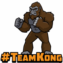 kong team
