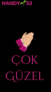 a black background with pink text that says ' handy 53 '
