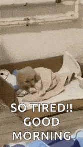 Puppy Tired GIF - Puppy Tired Tired Puppy GIFs