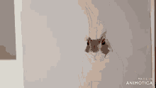 a person is drawing a rabbit on a piece of paper with the words made in animotica below it