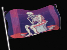 a skeleton is sitting on a toilet with a flag behind him