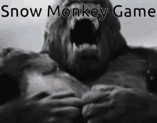 Snow Monkey GIF - Snow Monkey Game GIFs
