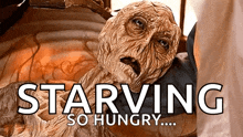Dying Hungry GIF - Dying Hungry And GIFs