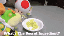 sml bowser junior whats the secret ingredient secret ingredient secret recipe