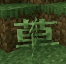 Minecraft 草 GIF - Minecraft 草 Grass GIFs