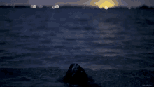 Water River GIF