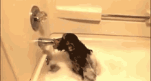 Bath Time- Get Away From Me GIF - Bathtime Monkey Thirsty GIFs