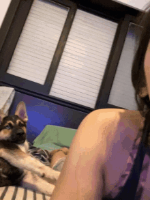 Dog Funny GIF - Dog Funny Selfie GIFs
