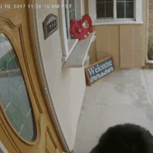 Dog Mail GIF - Dog Mail Delivery GIFs