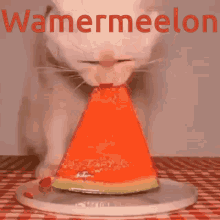 watermelon cat hunger
