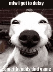 a white dog is smiling in a black and white photo with the caption `` mfw i get to delay comettheodds dnd game ''