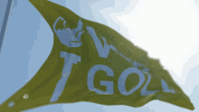Vote Gold Libertarian Party GIF - Vote Gold Libertarian Party Libertarian GIFs