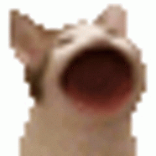 Bop Bop Bop Cat Sticker - Bop Bop Bop Cat Discord - 探索與分享 GIF
