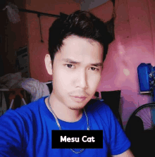 Mesu Cat Mesu GIF - Mesu Cat Mesu Cat GIFs