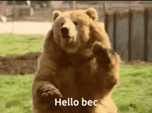 Hello Bec GIF - Hello Bec GIFs