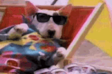 Chill Swag GIF - Chill Swag Dog GIFs