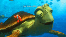 Nemo Turtle GIF - Nemo Turtle GIFs