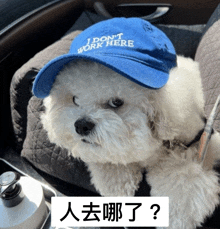 a white dog wearing a blue hat that says " i don t work here "