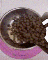 Tenset Dogs GIF - Tenset Dogs Bowl GIFs