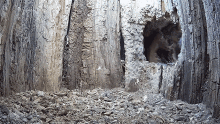 a tree stump with a hole in it and a pile of dirt in front of it .