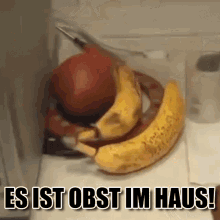 andreas psycho psycho andreas es ist obst im haus obst