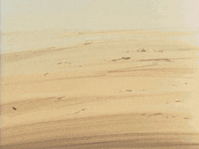 a cartoon drawing of a person 's foot in the dirt