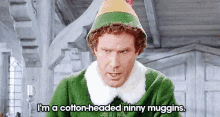 Elf Will Ferrell GIF - Elf Will Ferrell Cotton Headed Ninny Muggins GIFs