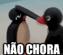 Não Chora / Pinguim / Amigos / Choro / Triste / Conforto GIF - Dont Cry Dont Be Sad Friends GIFs