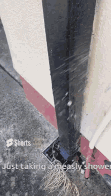 Shower Frozifygifs GIF
