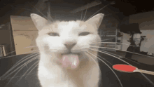 GIF