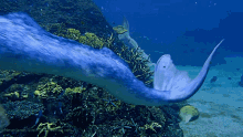 Merman Mermaid GIF - Merman Mermaid Blue GIFs