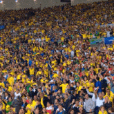 Torcedores Confederación Brasileña De Fútbol GIF