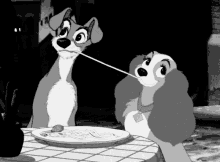 Lady And The Tramp Pasta GIF