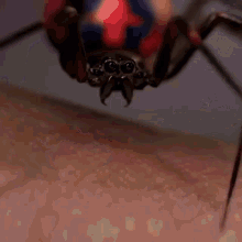 Spider Man Pepe GIF