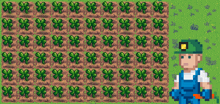 a pixel art of a man standing in front of a field of green plants
