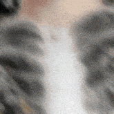 a blurred image of a person 's chest with a gray and white pattern