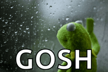 a kermit the frog looking out a window with the word gosh written below him
