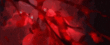 a person is laying on the ground in a dark room with red lights coming out of the ground .