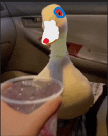 a duck with a red nose is holding a cup