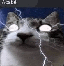 a cat with lightning bolts coming from its eyes .