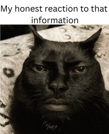 a black cat with the words my honest reaction to that information written above it