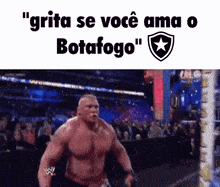 Botafogo Fogão GIF