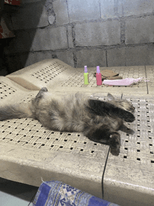 a cat laying on its back on a wicker bed
