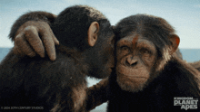 Look At That Noa GIF - Look At That Noa Kingdom Of The Planet Of The Apes GIFs