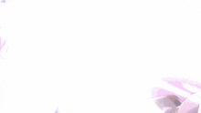 Irene Nebula GIF - Irene Nebula Twinklestarknights GIFs