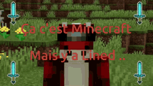 Minecraft Lined GIF - Minecraft Lined Youtubeur GIFs